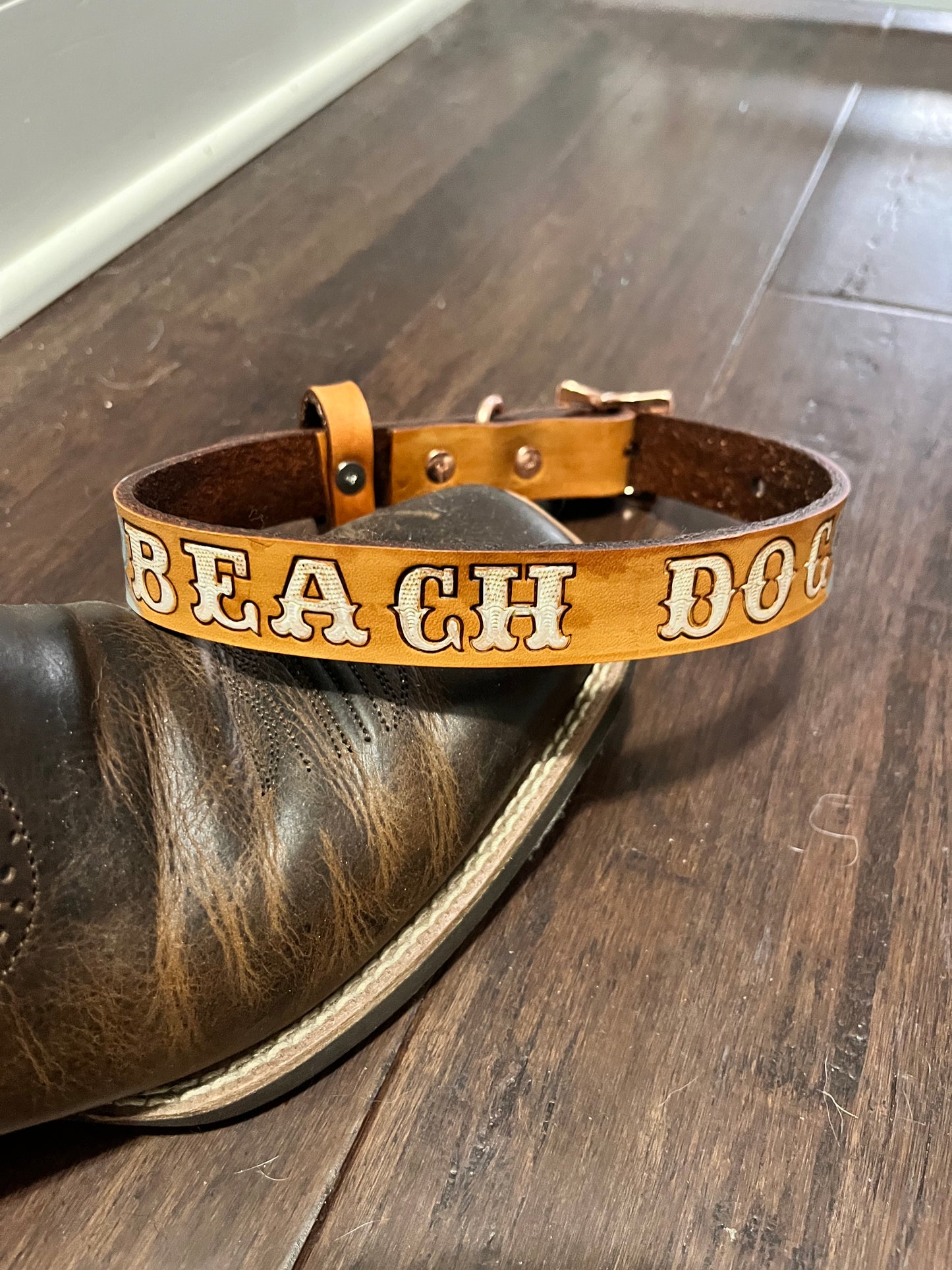 Beach Dog Collars