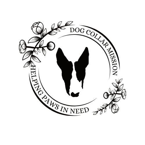 Custom Leather Dog Collar