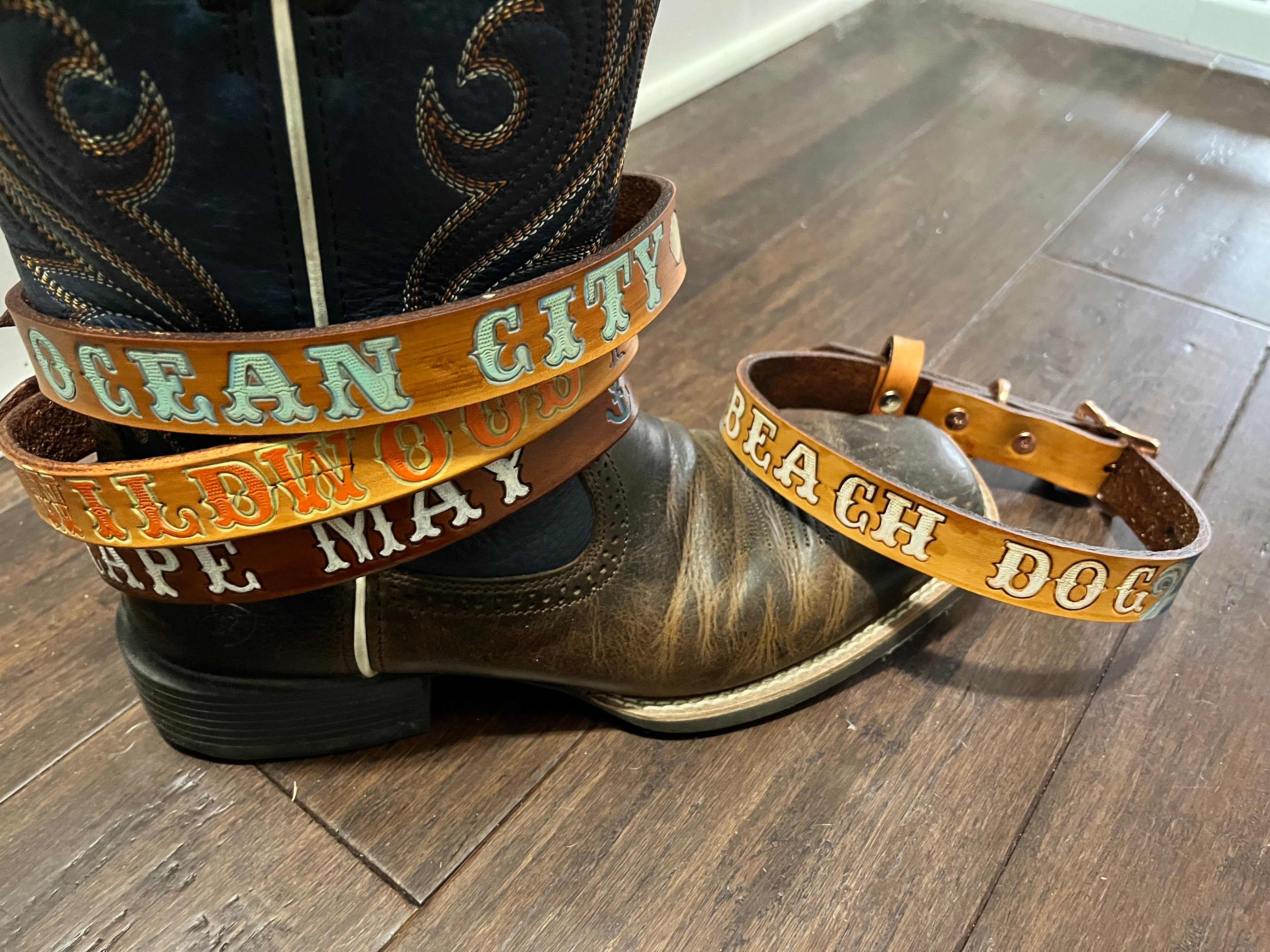 Beach dog collars clearance