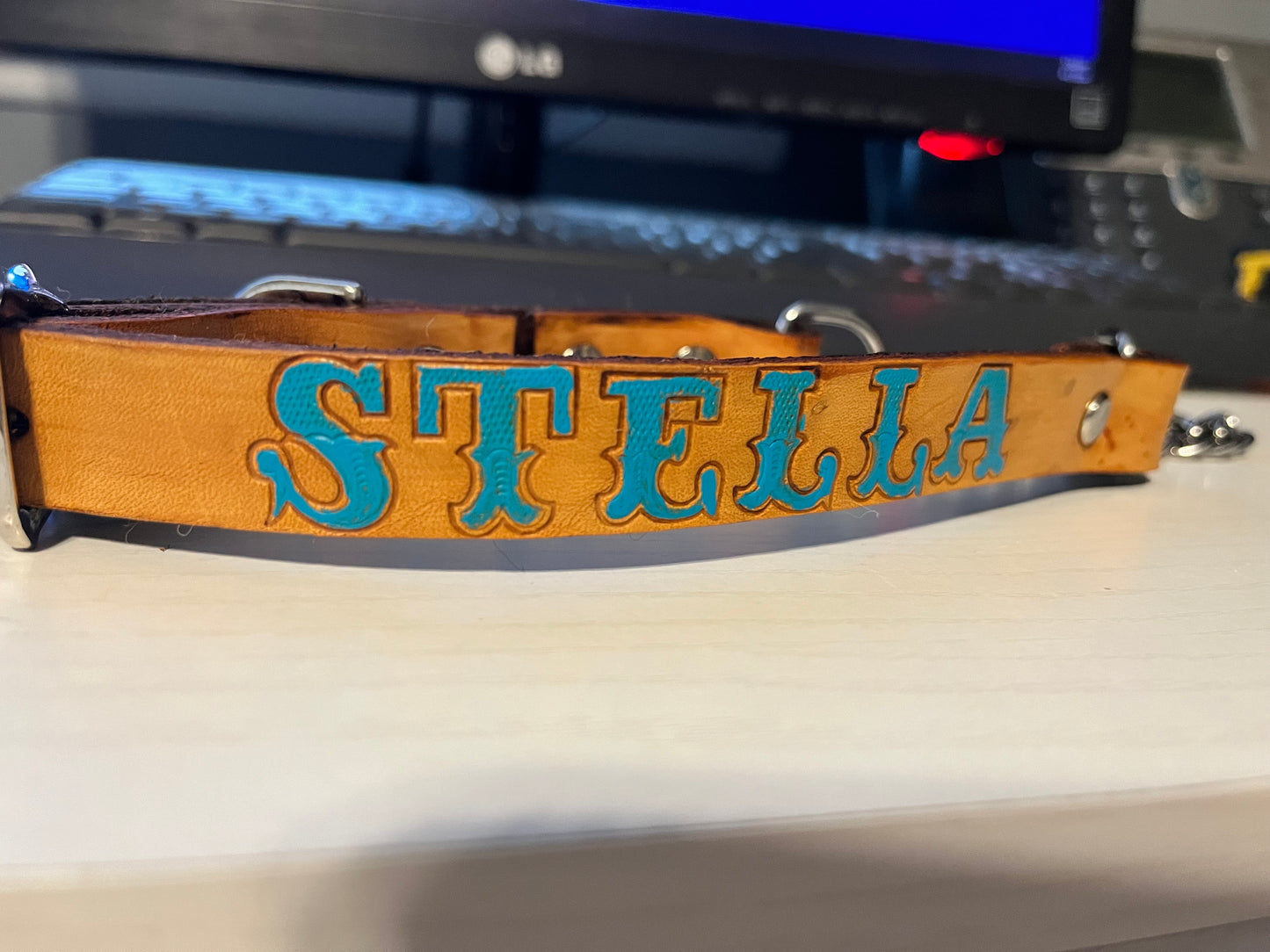 Martingale Dog Collar