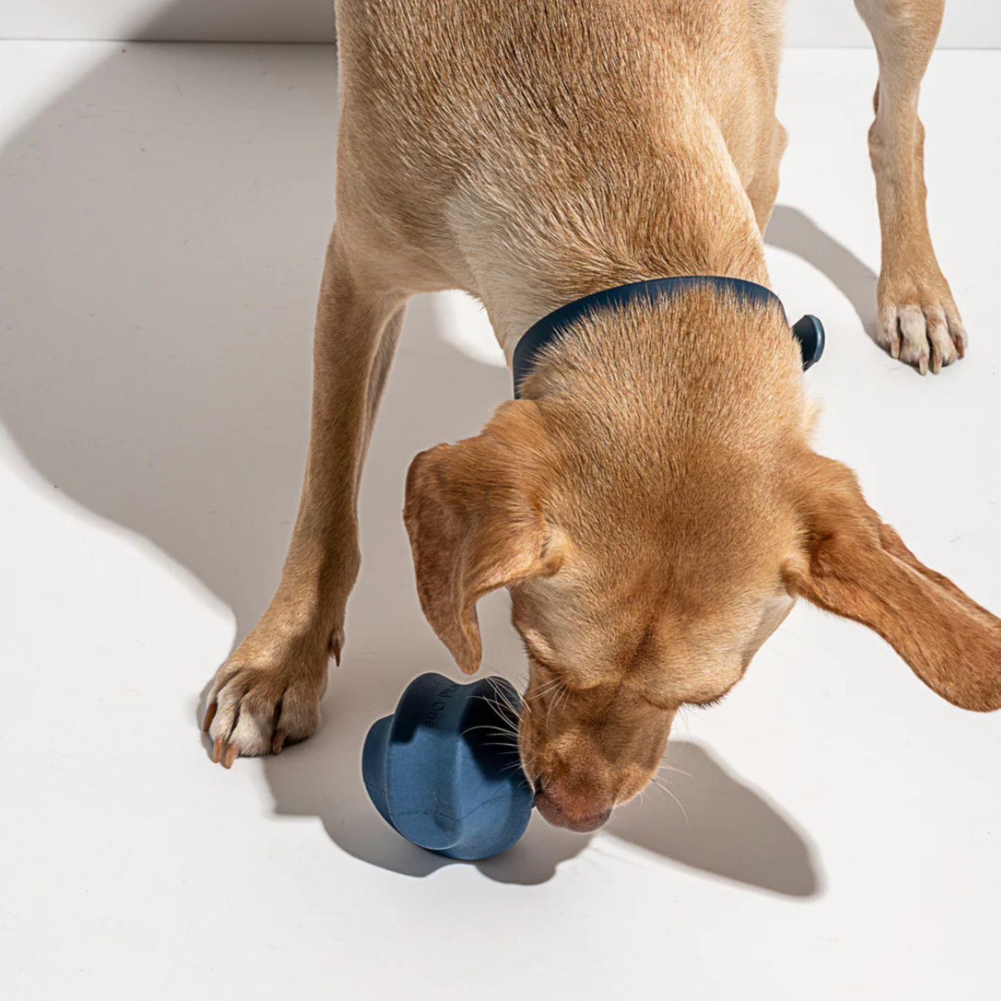 Tumble Twist - Enrichment Toy, Navy Blue